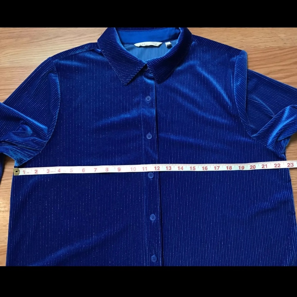 Royal Blue Velvet Button-up Blouse | Large | Soft Surroundings | Silver Stripes - Picture 7 of 16
